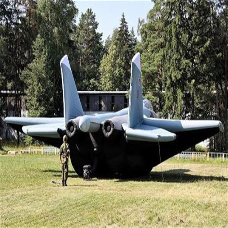 龙陵充气飞机模型